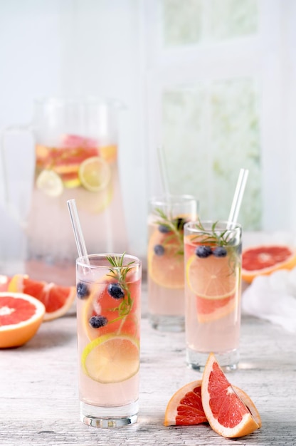 Paloma mit Heidelbeeren und Zitrusfrüchten