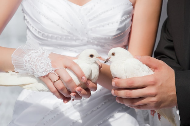 Palomas de boda en manos del novio y la novia