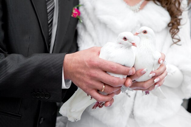 Palomas de boda en manos del novio y la novia