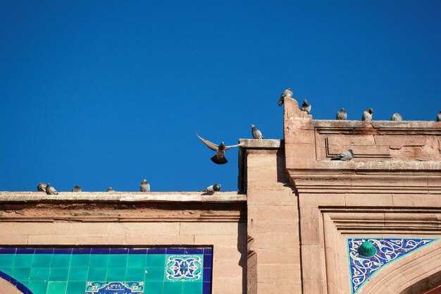 Palomas y edificio de piedra histórico