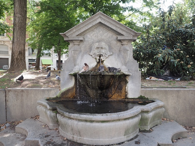 Palomas refrescándose en la fuente