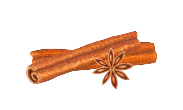 Palos de canela y anís estrellado Ingrediente y condimento para bebidas y horneado
