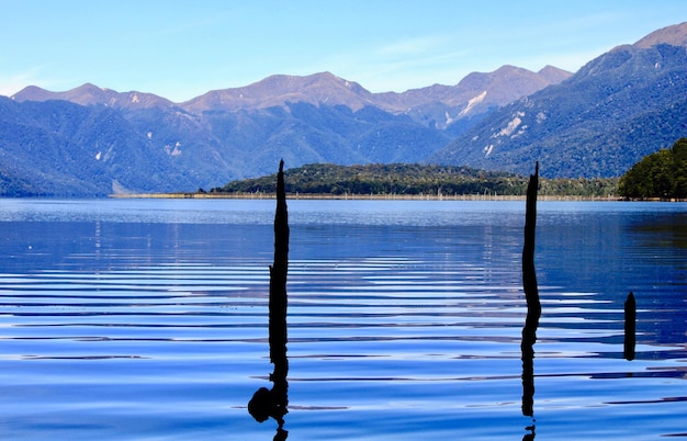 Foto palos de madeira em um lago contra montanhas