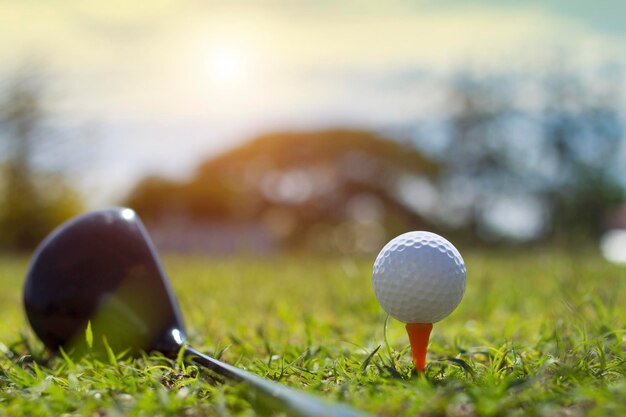 Palos de golf y pelotas de golf en un césped verde en un hermoso campo de golf