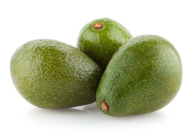 Palta