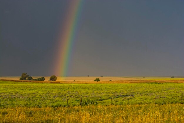 Pampas paisagem planície e arco-íris La Pampa Patagônia Argentina