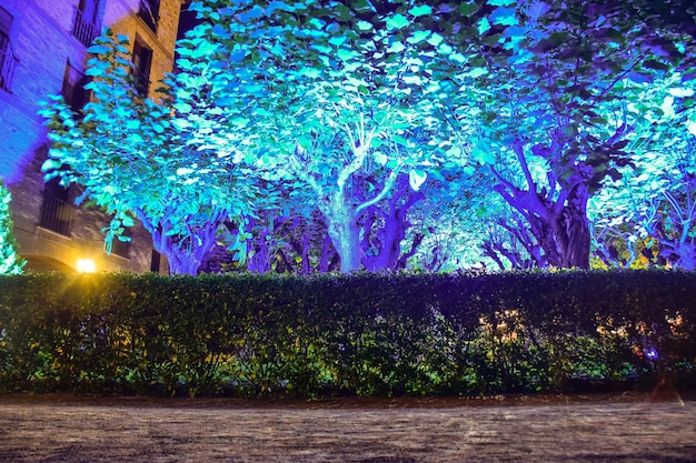 Pamplona España 5 de octubre de 2019 Parque nocturno de Pamplona con árboles iluminados
