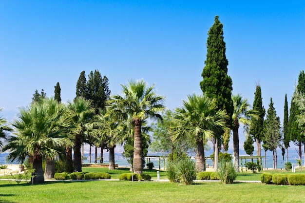 Foto pamukkale resort, turquía