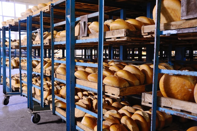 Pan fresco en un estante en una panadería