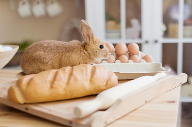 Pan y huevos de conejito de Pascua