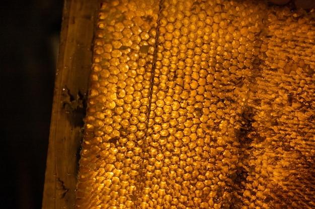 Panal de cera de abejas en marco de madera con colmena