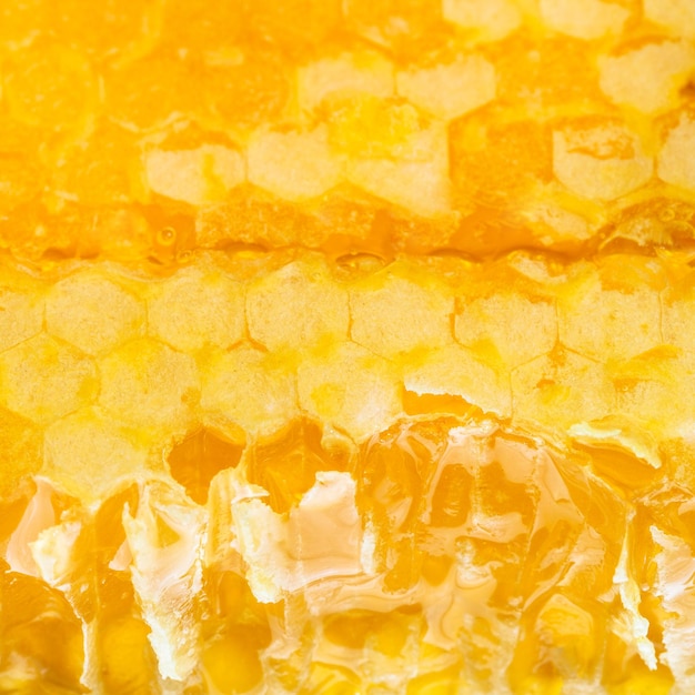 Foto panal de miel amarillo fresco roto
