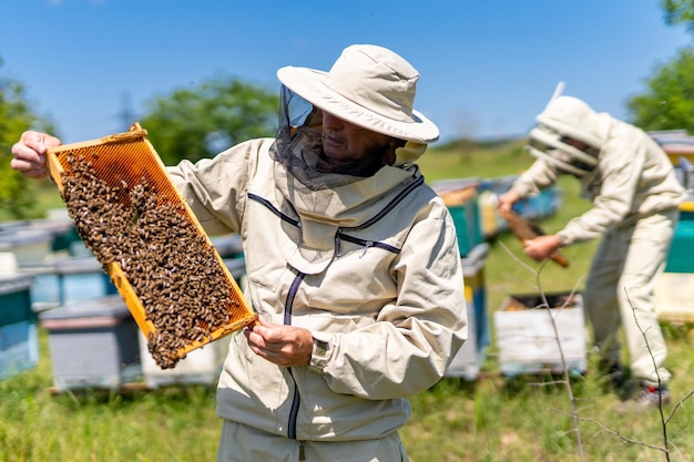 Panales de apicultura de verano de madera Hombre de cultivo de miel en apiario