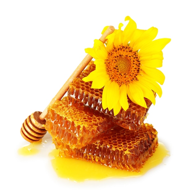 Panales dulces con llovizna de madera de miel y girasol aislados en blanco