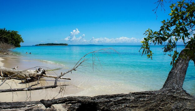 Panamaischer Karibikstrand