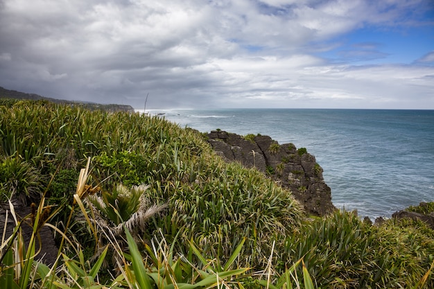 Pancake Rocks in der Nähe von Punakaiki in Neuseeland