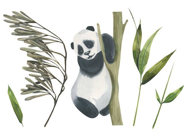 Panda kriecht auf einem Baum mit Bambusblättern und Samen Aquarellillustration Eine Reihe isolierter Objekte auf weißem Hintergrund aus der BAMBOO-Kollektion Für Dekoration und Designkomposition