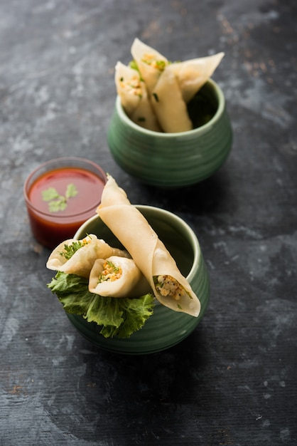 Paneer Chili Zigarre sind mit Paneer gefüllte knusprige Brötchen, die eine interessante Vorspeise für jede Party sind. serviert mit Tomatenketchup. selektiver Fokus