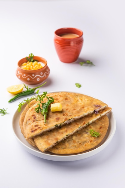 Paneer paratha es un popular pan plano del norte de la India hecho con masa de harina de trigo integral y relleno con paneer sabroso, condimentado y rallado.