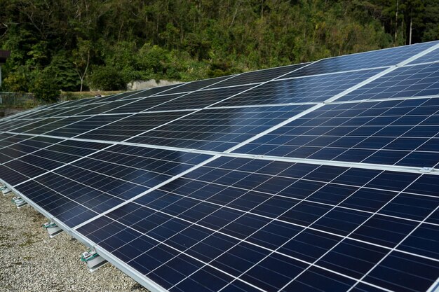 panel de energía solar