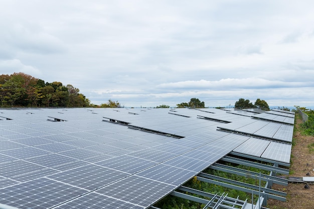 panel de energía solar