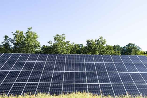 Panel solar azul rodeado de árboles verdes