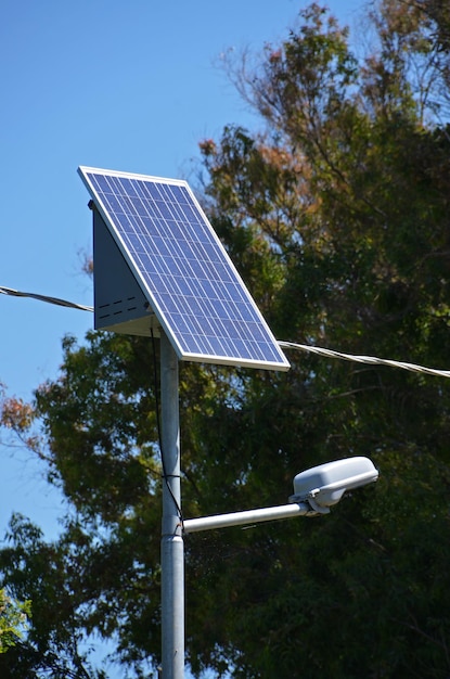 Un panel solar está montado en un poste frente a un árbol.