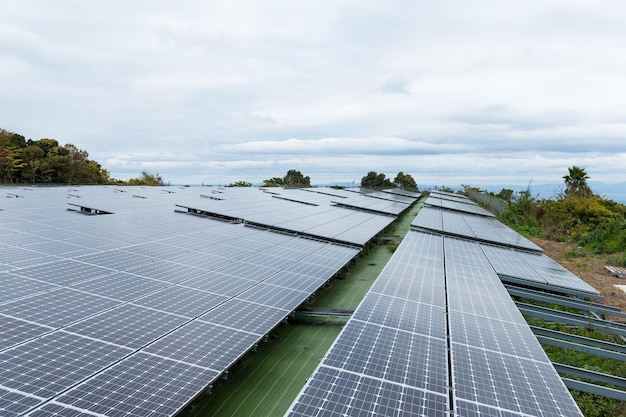 El panel solar