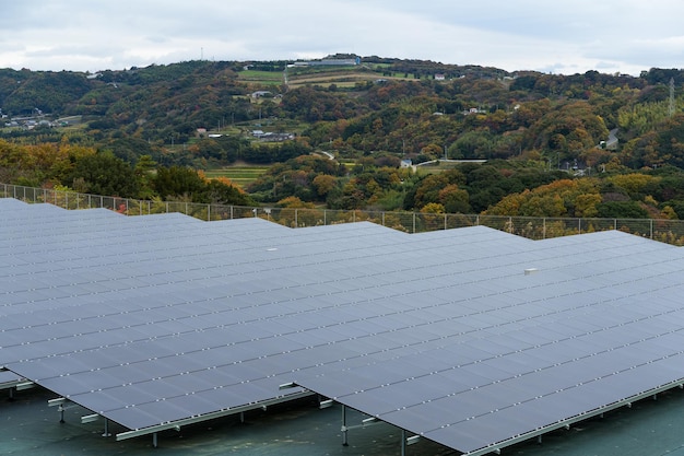 El panel solar