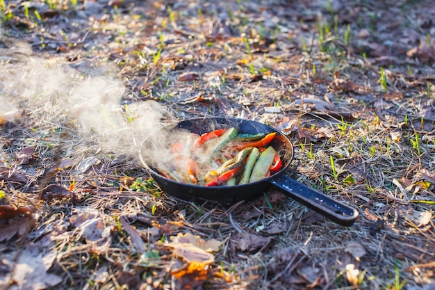 Panela quente com um prato de pimentão vermelho e pepino verde na grama da floresta