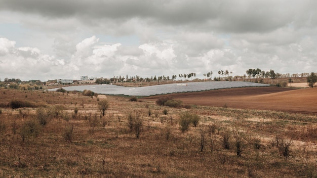 Paneles de energía solar en el campo con cielo nublado