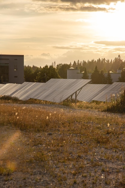 Paneles de energía solar en un campo bajo la luz del sol al atardecer, concepto de sostenibilidad