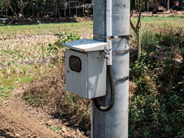 Paneles instalados en postes de electricidad al borde de campos de arroz