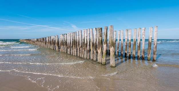 Paneles de rompeolas de madera en la playa