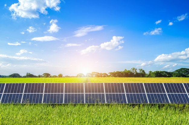 Los paneles solares en campo de maíz y el arroz Paisaje de oro amarillo contra el cielo azul con nubes.