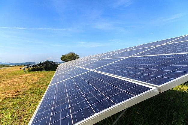 Paneles solares en campo verde