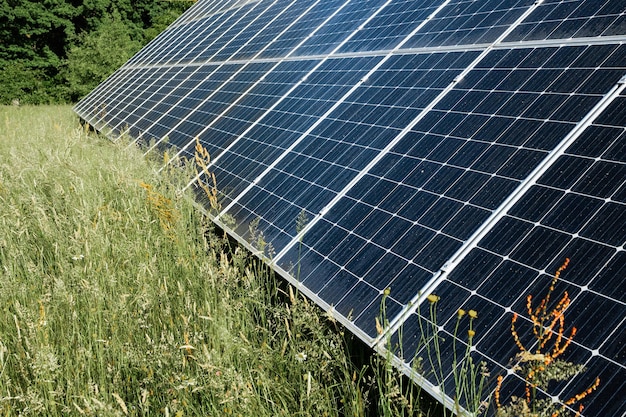 Paneles solares de células solares en una granja solar con iluminación solar para crear energía eléctrica limpia