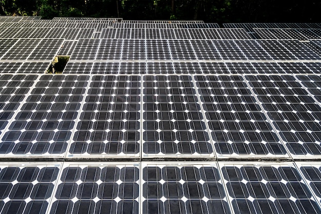 Paneles solares con el cielo soleado