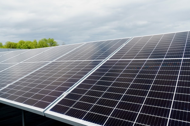 Los paneles solares se colocan en fila en el suelo