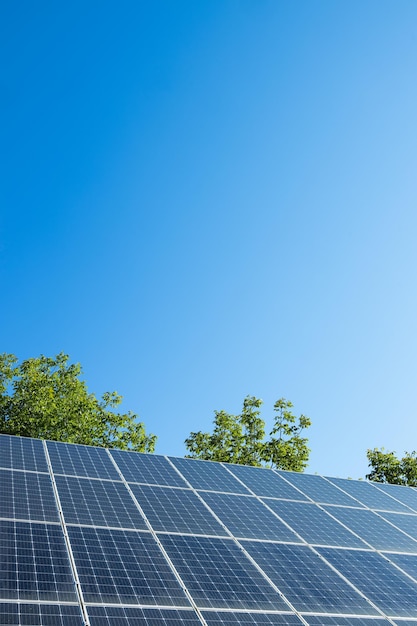 Paneles solares fotovoltaicos en el cielo del atardecer concepto de energía limpia backgroundgreen