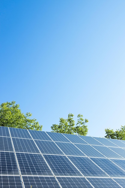 Paneles solares fotovoltaicos en el cielo del atardecer concepto de energía limpia backgroundgreen