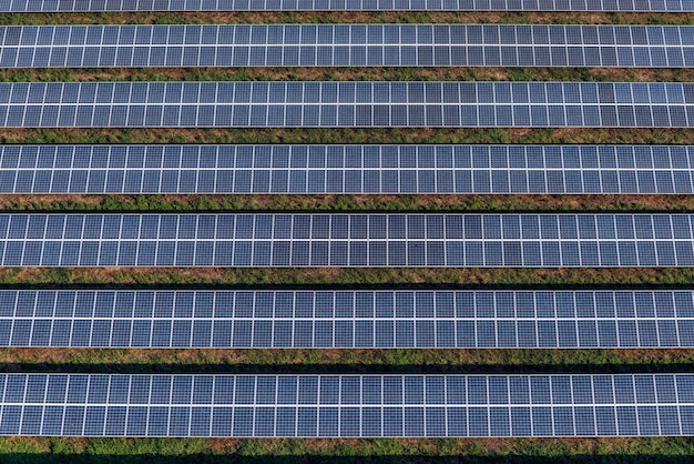 Foto paneles solares, granjas solares