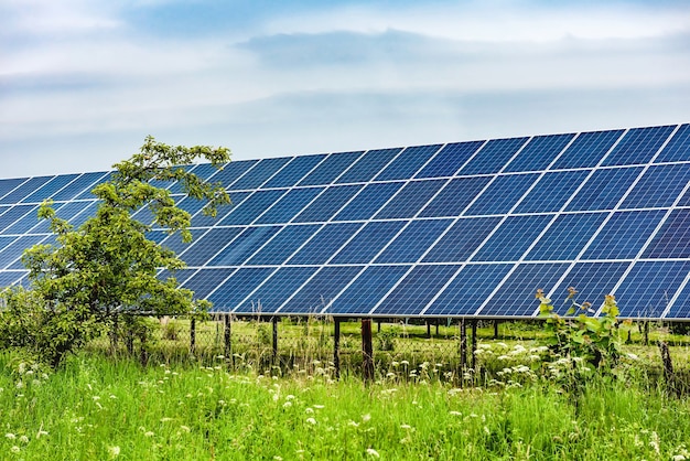 Paneles solares en el jardín. Planta de energía solar entre árboles y arbustos.