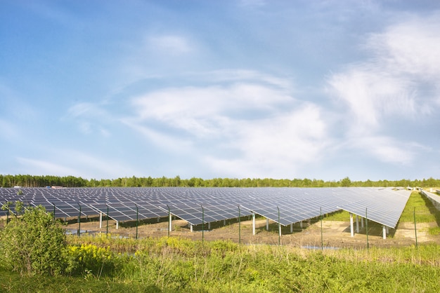 Paneles solares bajo el sol en el campo