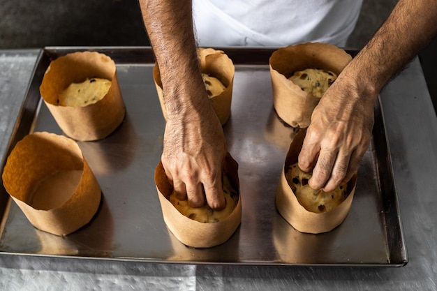 Panettone. Producción industrial de panettone navideño