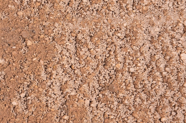 Foto pano de fundo de textura de estrada de terra para várias ideias adequado para impressão na web fundo de sombra dura luz solar apresentação do produto simulação mínima para publicidade efeito de sobreposição da moda pano de fundo