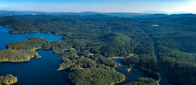 Panorama aéreo do drone de água azul e floresta verde