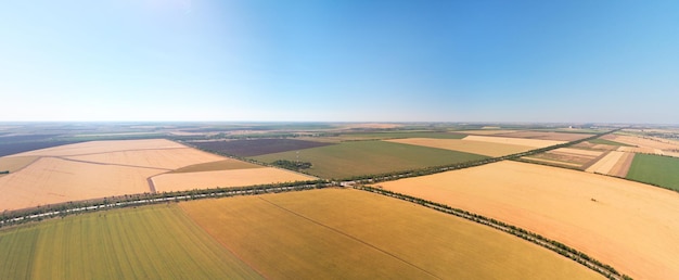 Panorama aéreo del prado de trigo