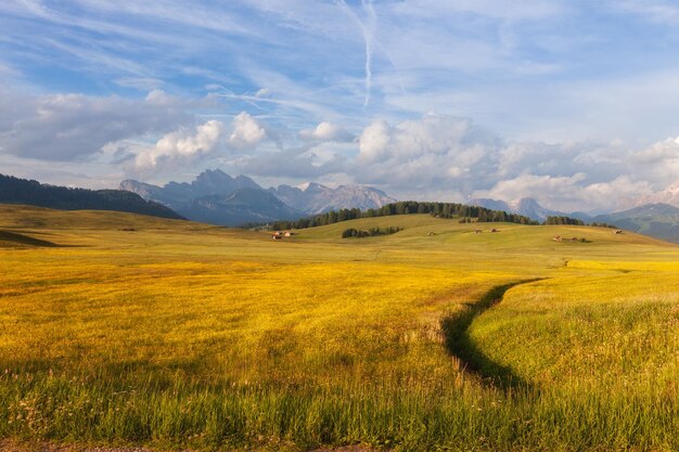 Foto panorama de alpe di siusi