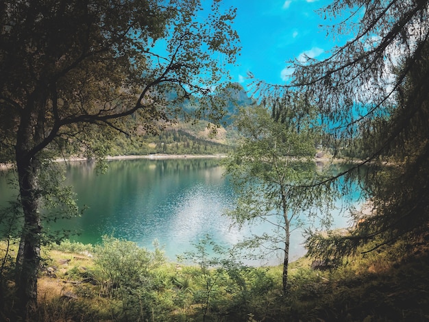 Panorama alpino com lago turquesa